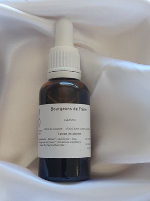 Produit aux plantes medicinales : Bourgeons de Frêne