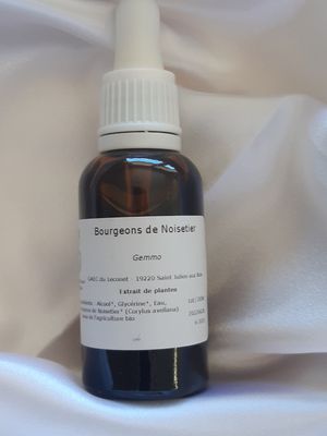 Produit aux plantes medicinales : Bourgeons de noisetier