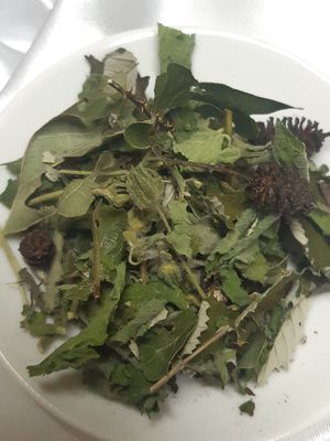 Produit aux plantes medicinales : Decoction : Bains de bouche